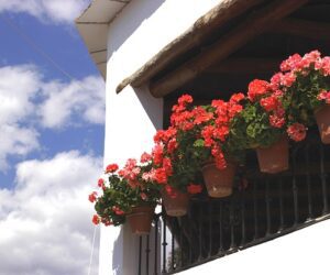 Qué sitios son famosos para visitar en Villatorres