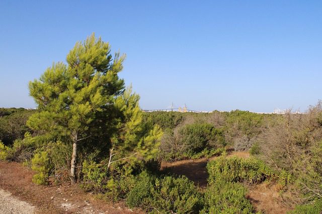 Fuente de la Magdalena