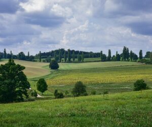 Qué monumentos visitar en Campillos