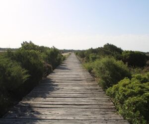 Qué sitios son famosos para visitar en Cordoba