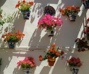 Qué sitios son famosos para visitar en Lepe
