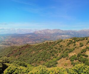 Qué sitios son famosos para visitar en Baeza