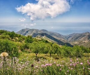 Qué sitios son famosos para visitar en Algarinejo