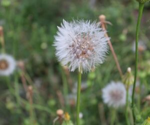 Qué monumentos visitar en Paterna de Rivera